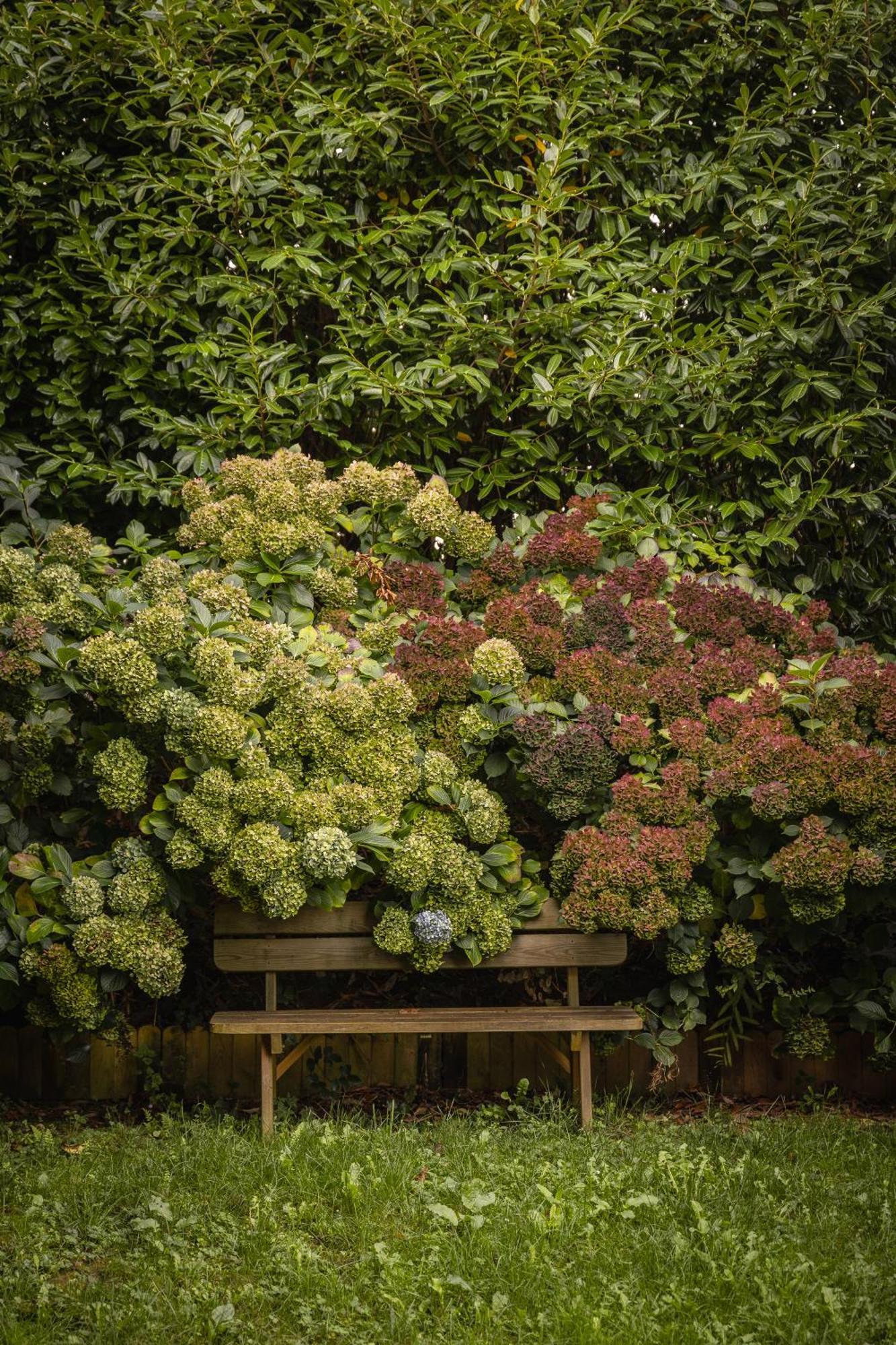 Le Jardin Enchanteur, Chaleureuse Maison D'Hotes Eco-Responsable, Calme Et Accueillante Loperec Exterior foto